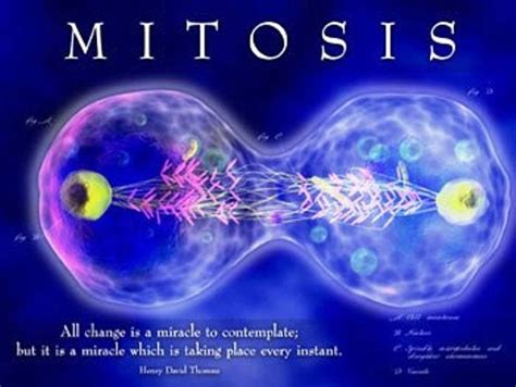 Chapter 11 & 12 Review Diagram | Quizlet 