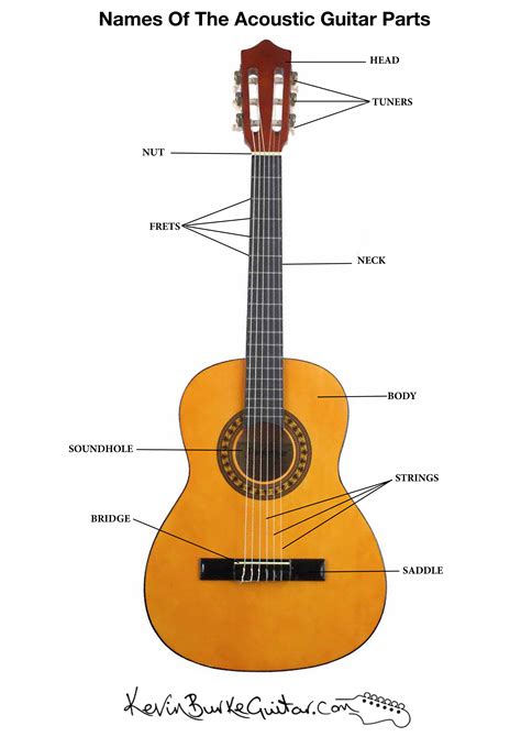 Parts Of The Guitar Worksheets