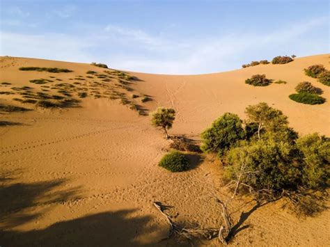 Ammothines Of Lemnos Greeces Hidden Mini Sahara Desert