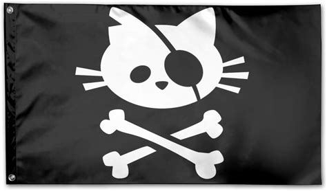 Pirate Cat Skull And Crossbone Home Flags 3 X 5 In Indoor