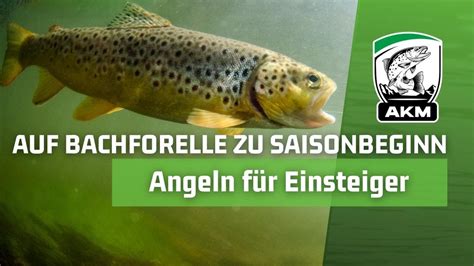 Auf Bachforellen Zu Saisonbeginn Mit Spinner Am Fluss Angeln F R