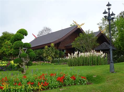 North Thailand Road Trip (Part 9): Flower Overload at Doi Tung Royal Villa |Filipino Sojourner