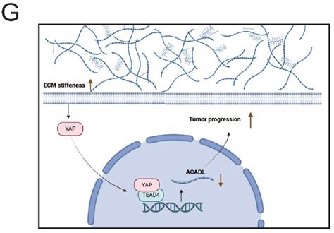 Q Bulk Rna