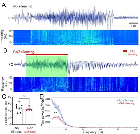 Closed Loop Silencing Of Ca Pns Reduces Cortical Eeg Spectral Power