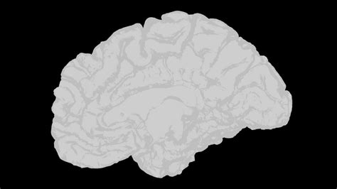 understanding cognitive dissonance  psychology