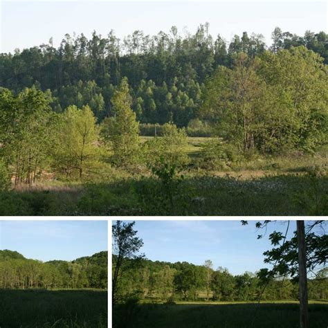 This is an area known for its dark green pastures with gentle rolling ... 