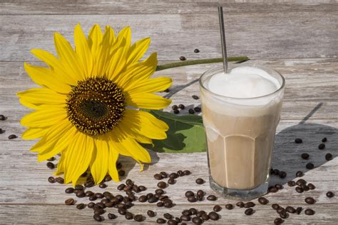 Ein Eiscafé ist ein lohnenswertes Geschäft - gastroecho.de
