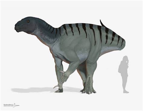 Iguanodon Galvensis By Paleoalberca On Deviantart