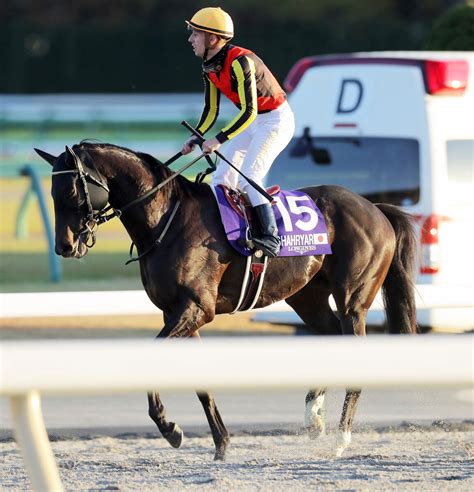 【ジャパンc】シャフリヤールは惜敗2着 Cデムーロ騎手「最後は頑張ったが内から来られた」 スポーツ報知