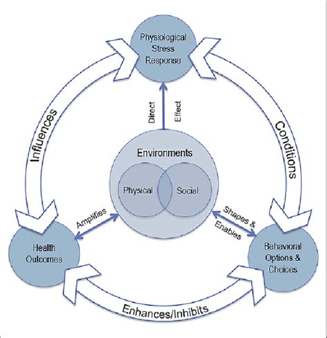 Environmental Effects On Human Behaviors And Health Download