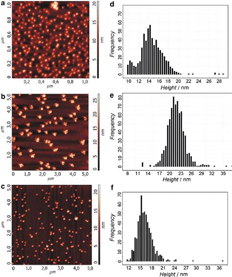 Topographic Afm Images Of Gold Nanoparticles Max Nm A Gold