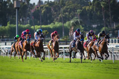 Horse Racing Entries, Results, and Stakes Schedules | Santa Anita Park