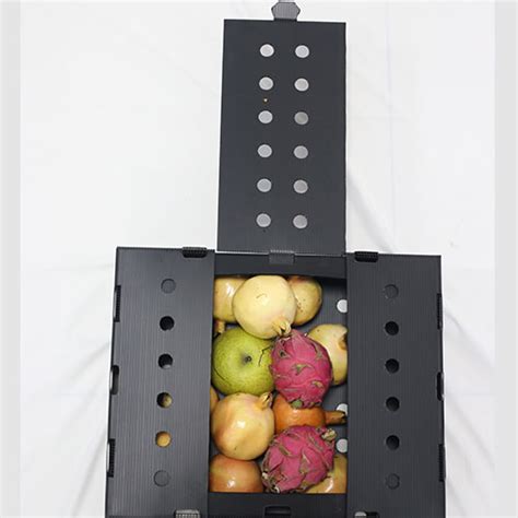 Coroplast Fruits Vegetables Okra Packaging Box Top 5 Coroplast