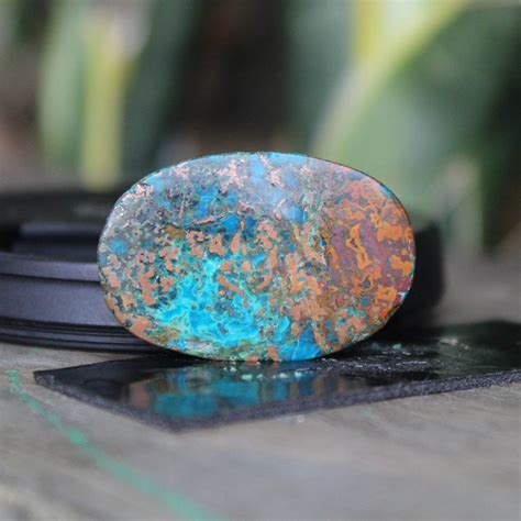 Chrysocolla Opalized Wood With Copper Plume Chrysocolla Opal Etsy