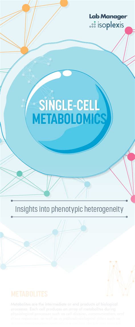 Single Cell Metabolomics Lab Manager