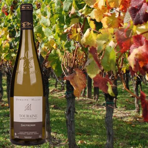 Touraine Sauvignon - WeinSiegelWeinSiegel