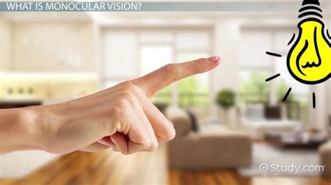 Monocular Vision Definition And Causes Lesson