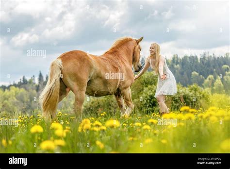 Eine junge blonde Frau und ihr haflinger Pferd genießen ihre Zeit im Frühling draußen