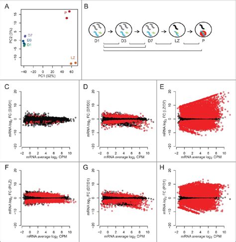 Gene Expression Patterns Are Altered Between Premeiotic And Meiotic Download Scientific Diagram