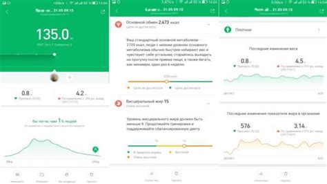 Обзор программы Mi Fit – Папа и Техника