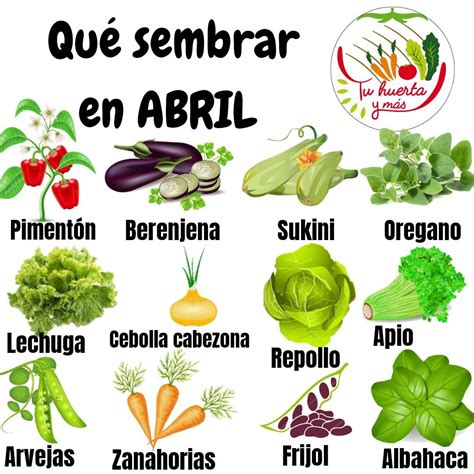 Qu Sembrar En Abril Jard N De Vegetales Cultivo De Hortalizas