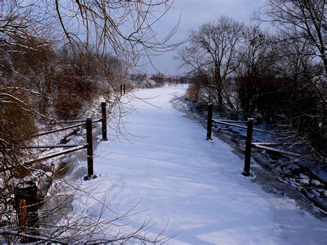 Free Images Tree Water Nature Forest Cold Winter Frost River