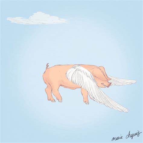 When Pigs Fly Animation By Marie Chapuis Find Share On Giphy