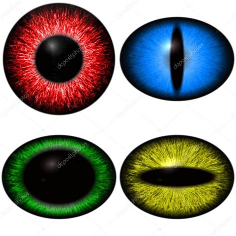 Cuatro Ojos De Color Con Diferentes Tama Os De Pupila Ojo Aislado