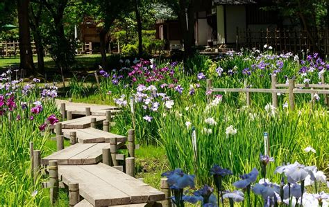 菖蒲酒(しょうぶさけ) 邪気を払い延命を記念する、端午の節句のしきたり|知る・学ぶ お酒の博物誌|月桂冠 ホームページ 菖蒲酒(しょうぶさけ) 邪気を払い延命を記念する、端午の節句のしきたり|知る・学ぶ お酒の博物誌|月桂冠 ホームページ