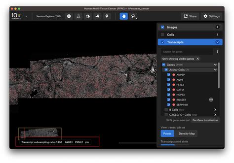 Navigating Xenium Explorer Official 10x Genomics Support