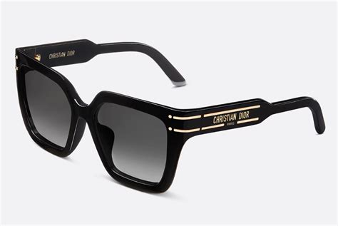 Christian Dior Diorsignature S10f Sunglasses — Ufo No More