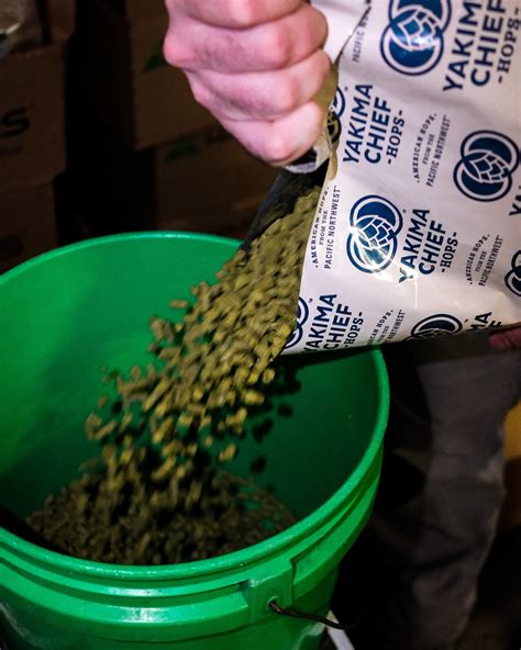 851 grand concourse 1