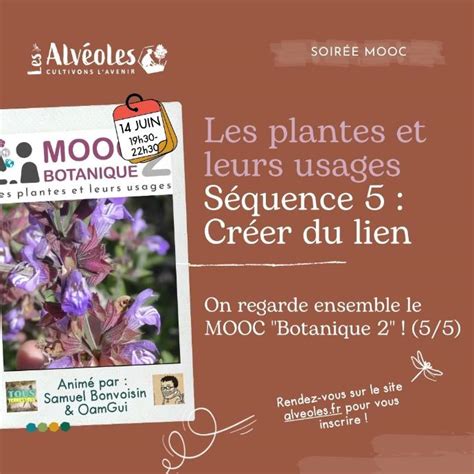 Les Plantes Et Leurs Usages Et Si On Suivait Ensemble Le Mooc