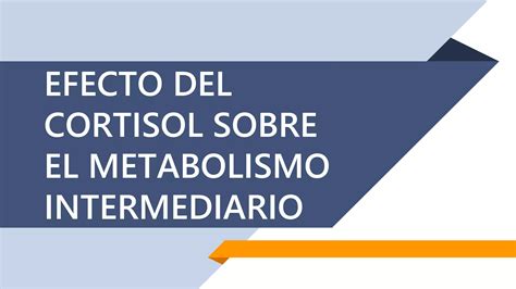 Cortisol Ppt