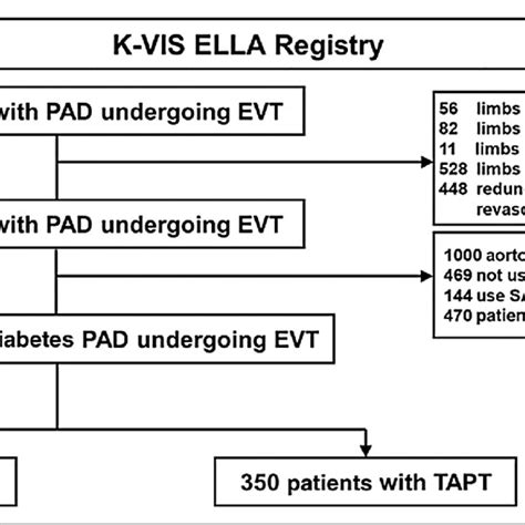 Flow Chart Dapt Indicates Dual Antiplatelet Therapy Evt Endovascular