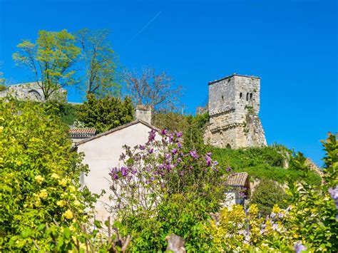 Medieval Garden Plants How To Create A Medieval Garden