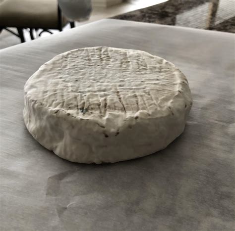 Camembert Made From Curdled Sunflower Seed Milk I’d Call This Experiment A Success R