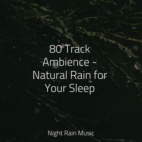 80 Track Ambience Natural Rain For Your Sleep Album By The Sleep