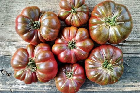 Томат Фиолетовая тыква, Purple Calabash, (США) 5 семян | Дачная Коллекция