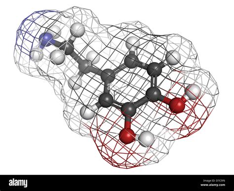 Mol Cula De Neurotransmisor Dopamina La Estructura Qu Mica Los Tomos