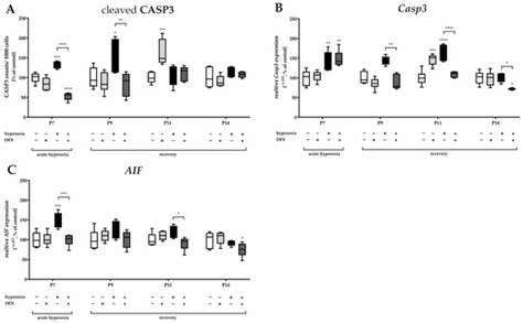 Ijms Free Full Text Dexmedetomidine Protects Cerebellar Neurons