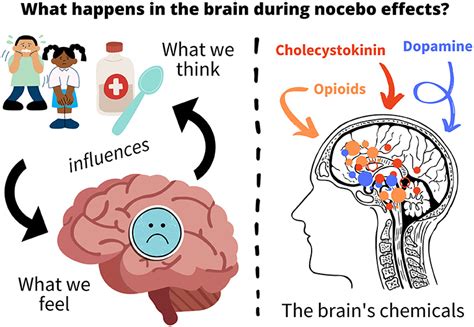 Citizen Science The Power Of The Placebo Effect Part Ii When Belief