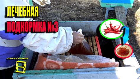 ЛЕЧЕБНАЯ ПОДКОРМКА ПЧЕЛ ВЕСНОЙ №3 С КРАСНЫМ ПЕРЦЕМ. ЛЮБИТЕЛЬСКОЕ ...