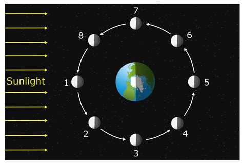 Moon Phase Diagrams Practice Quizizz