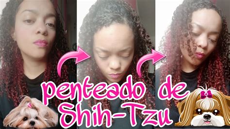 Penteado Para Cabelos Cacheados PENTEADO DE SHIH TZU YouTube