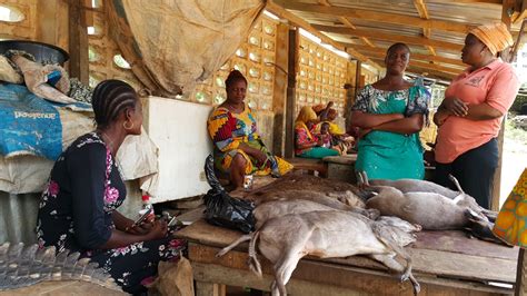 Bushmeat Market