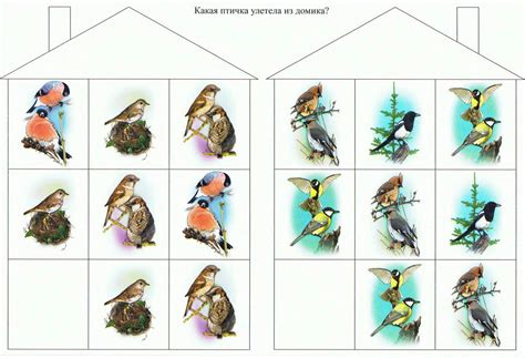 Разрезные картинки птицы - 63 фото