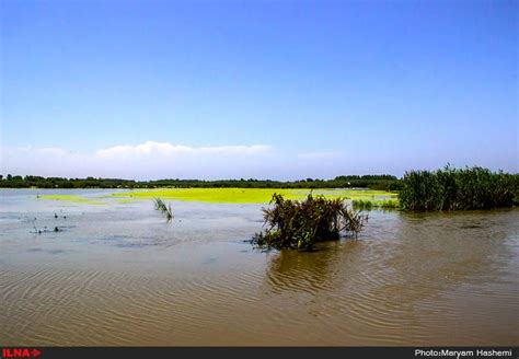 Photos Anzali Lagoon The Iran Project