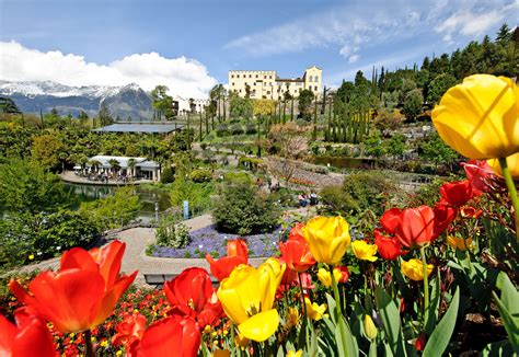 Giardini Di Castel Trauttmansdorff Benvenuti A Casa Sissi