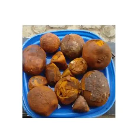 Cow Gallstone Natural Bezoar Gallstone Buy Quality Dried Cow Ox